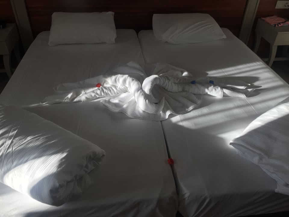 Zimmer Well Palace Side