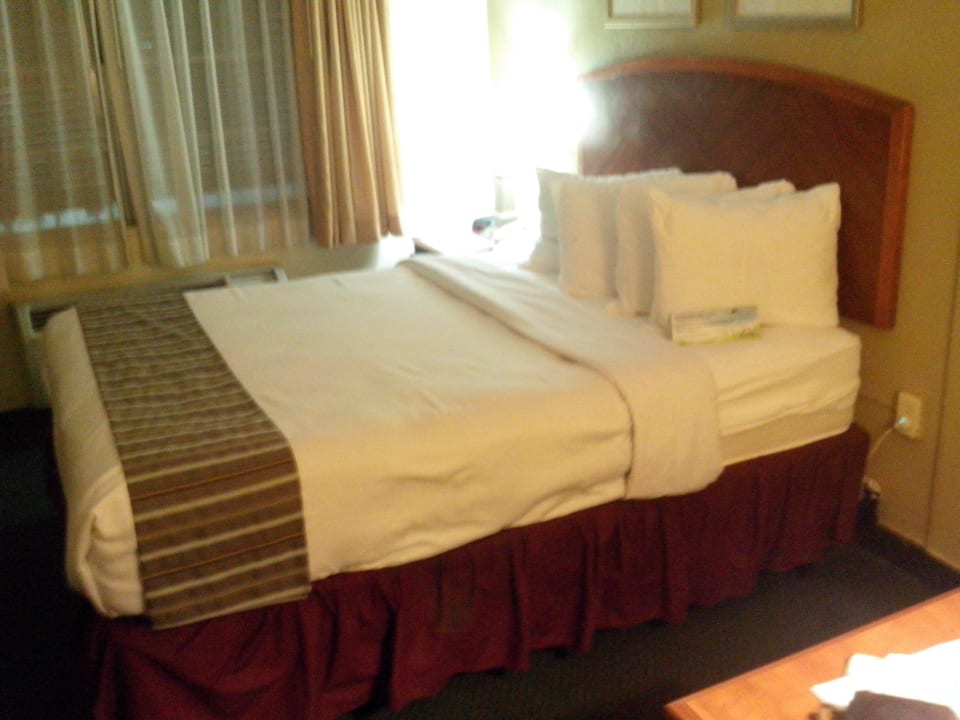 Good for a one-night sleep Hotel Days Inn Miami Airport North