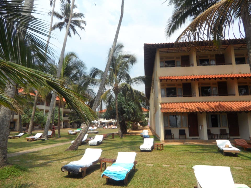 Liegen bekommt man immer !!!! Mermaid Hotel & Club