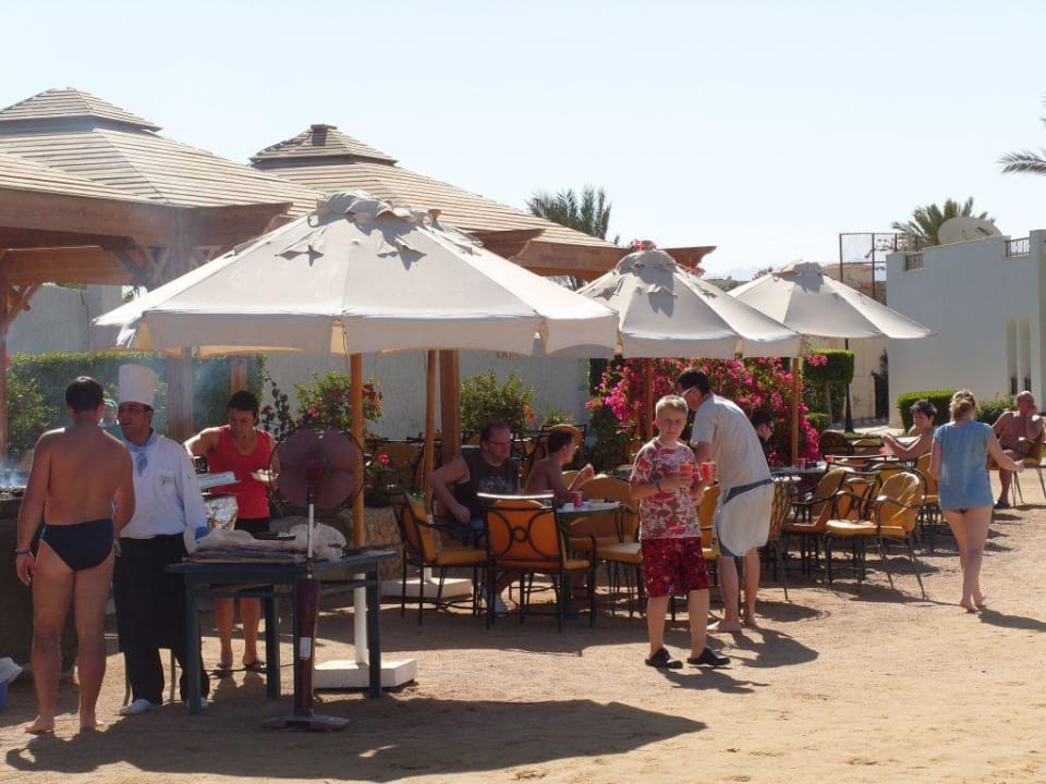 Strandbar Pickalbatros Alf Leila Wa Leila Resort - Neverland Hurghada