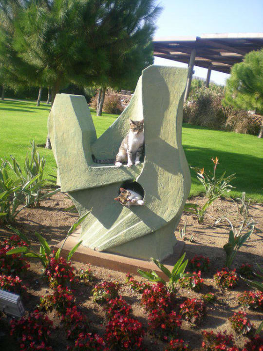 Katzen Voyage Belek Golf & Spa