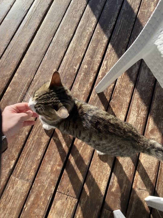 Sonstiges Dobedan Exclusive Hotel And Spa