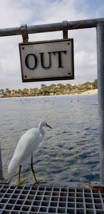 Strand Jaz Solaya