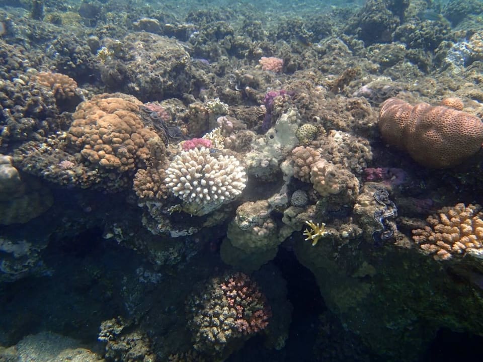 In the sea Three Corners Equinox Beach Resort