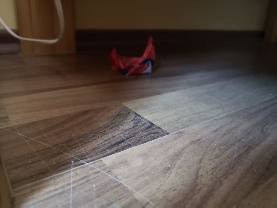 Zimmer Wildgatter Ferienappartements