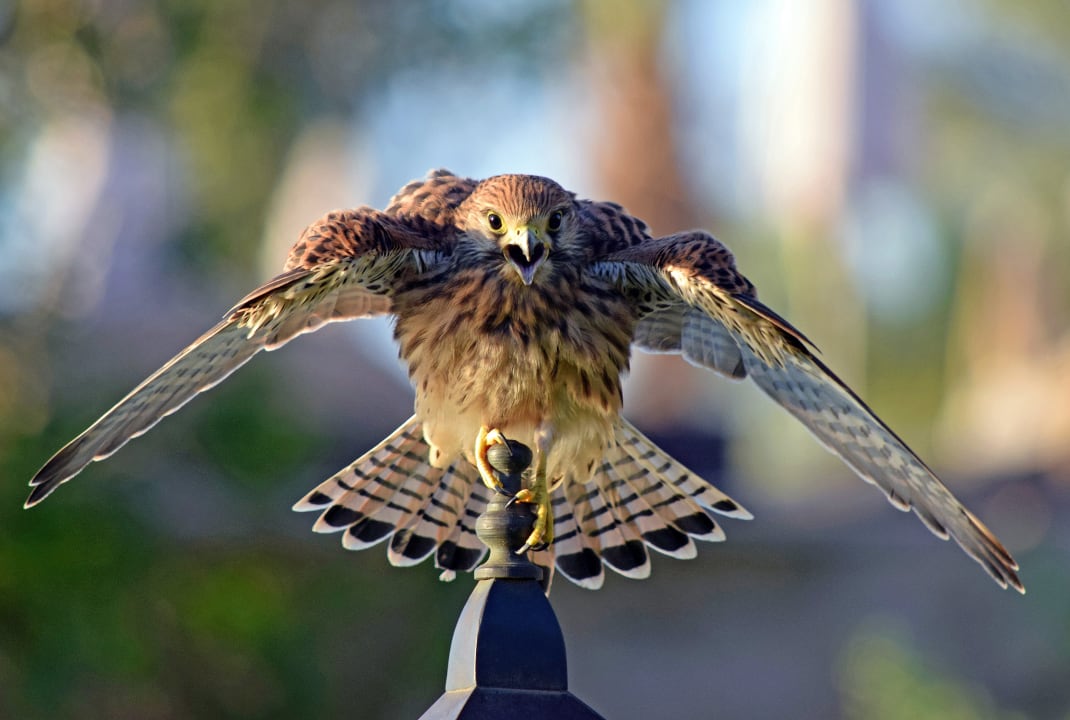 Sonstiges Makadi Spa - Adults only