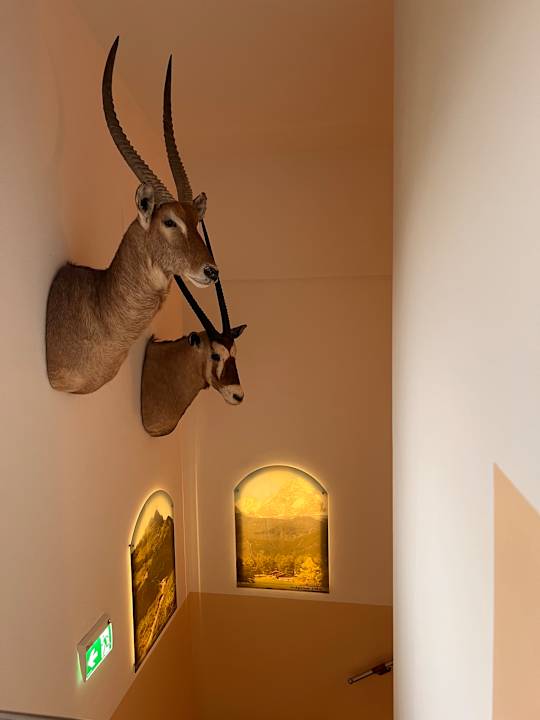 Zimmer Hotel Alpenwelt