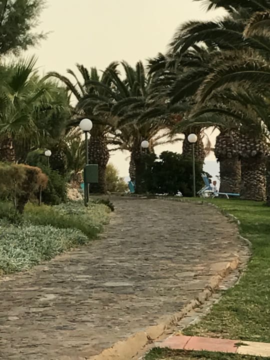 Gartenanlage Iberostar Waves Creta Panorama & Mare