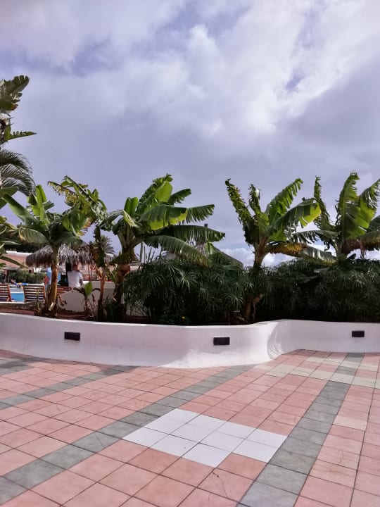 Gartenanlage Hotel HL Club Playa Blanca