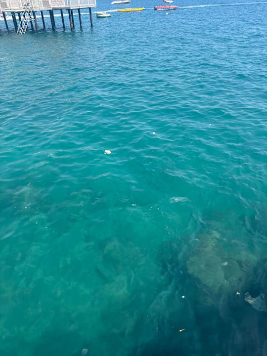 Strand Seven Seas Palmeras Bay Alanya