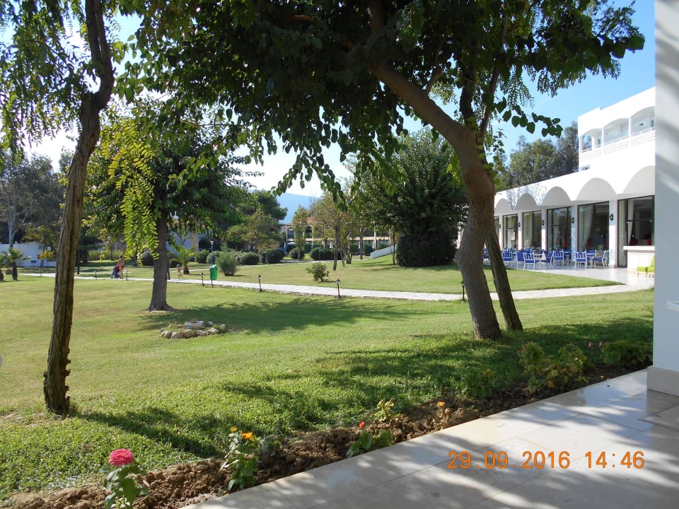 Anlage Domes Aulūs Zante, Autograph Collection