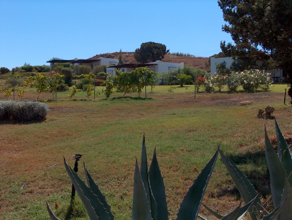 Außenansicht Hotel Villa Kos