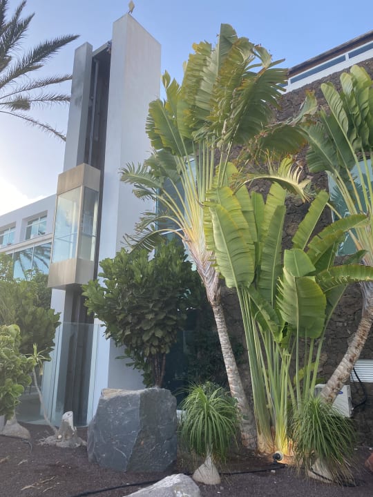 Gartenanlage allsun App.-Hotel Esquinzo Beach