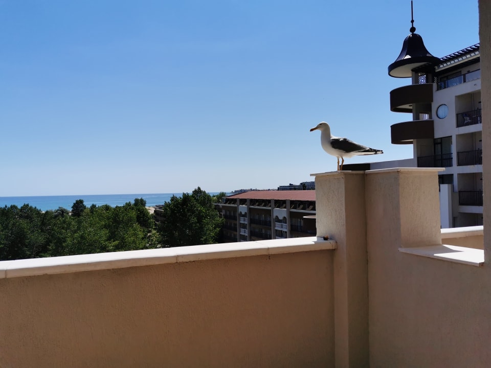 Ausblick HI Hotels Imperial Resort