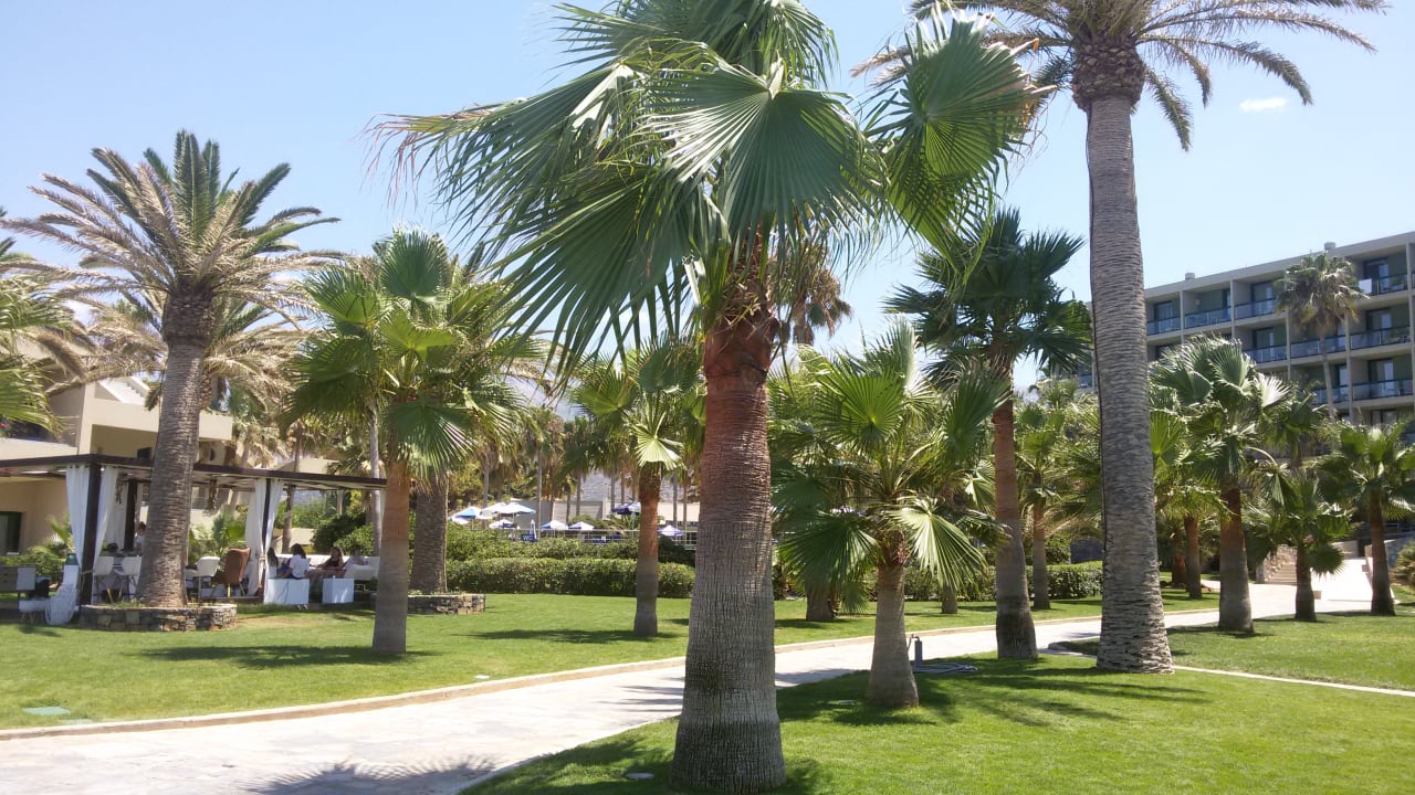 Gartenanlage Calimera Sirens Beach