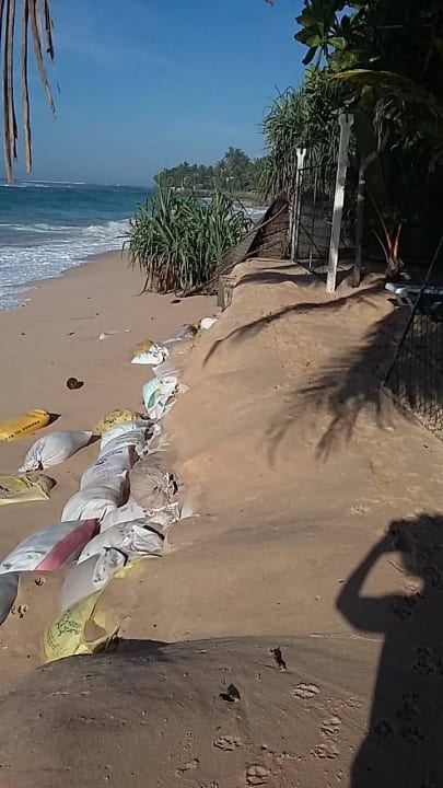 Kein Strand Hotel Haus am Meer Wilde Ananas