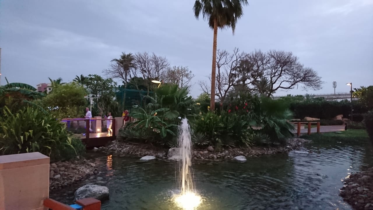 Garten Grand Hyatt Dubai