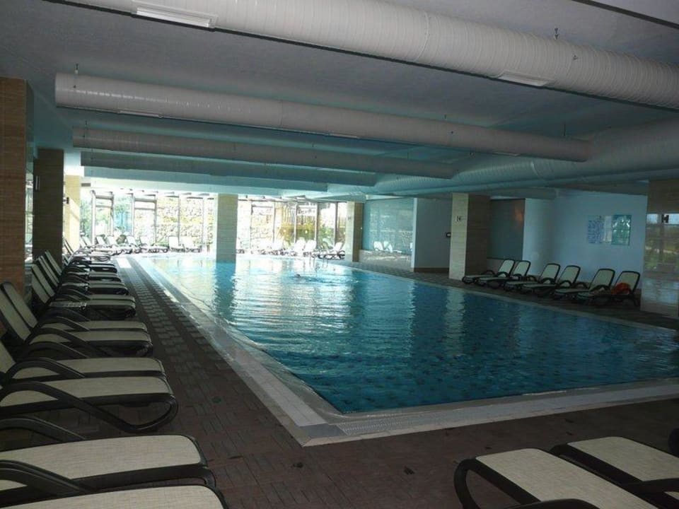 Innenpool Commodore Elite Suites & Spa - Adults only