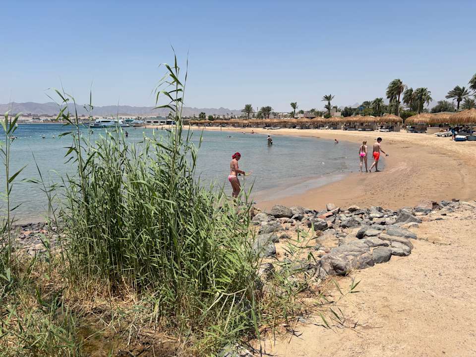 Strand Eagles Paradise Abu Soma