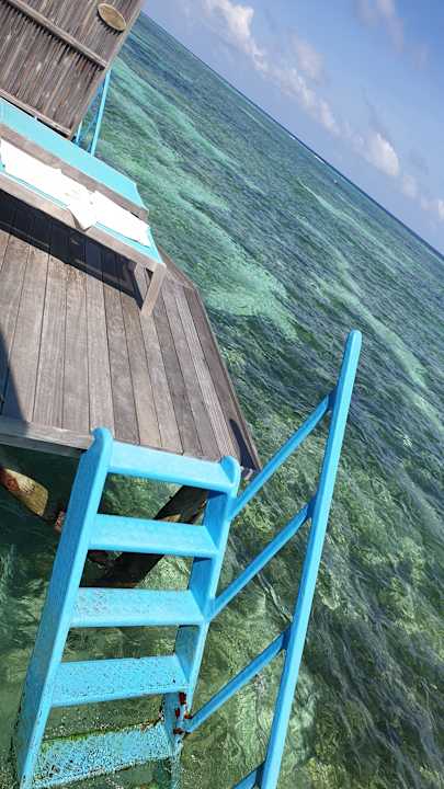 Zimmer Kuredu Island Resort & Spa