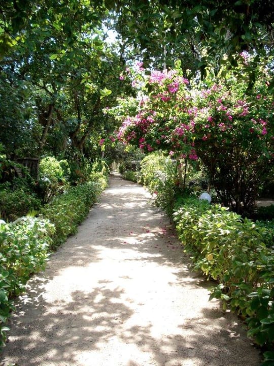 Das Inselinnere Angaga Island Resort
