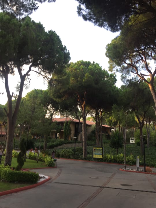 Sonstiges Asteria Family Belek
