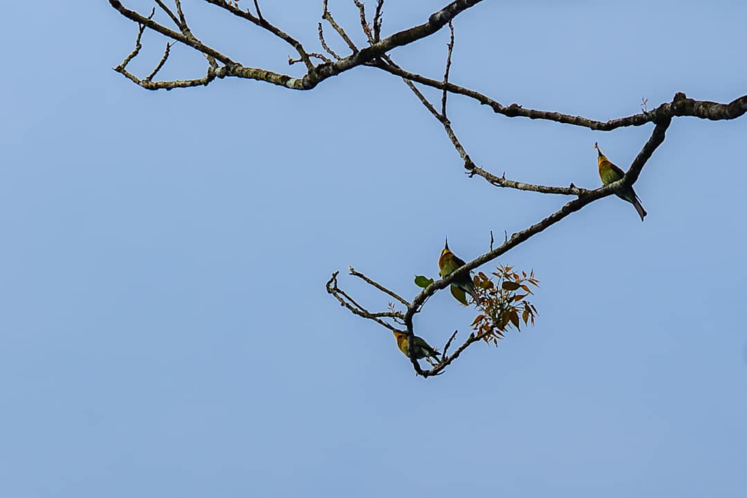 Ausblick Wayanad Wild - A CGH Earth Experience