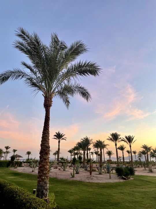 Gartenanlage ROBINSON SOMA BAY