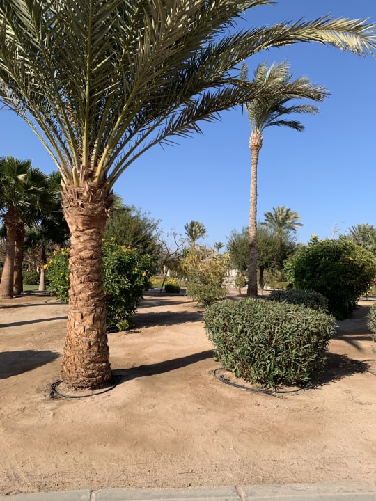 Gartenanlage Steigenberger Aqua Magic