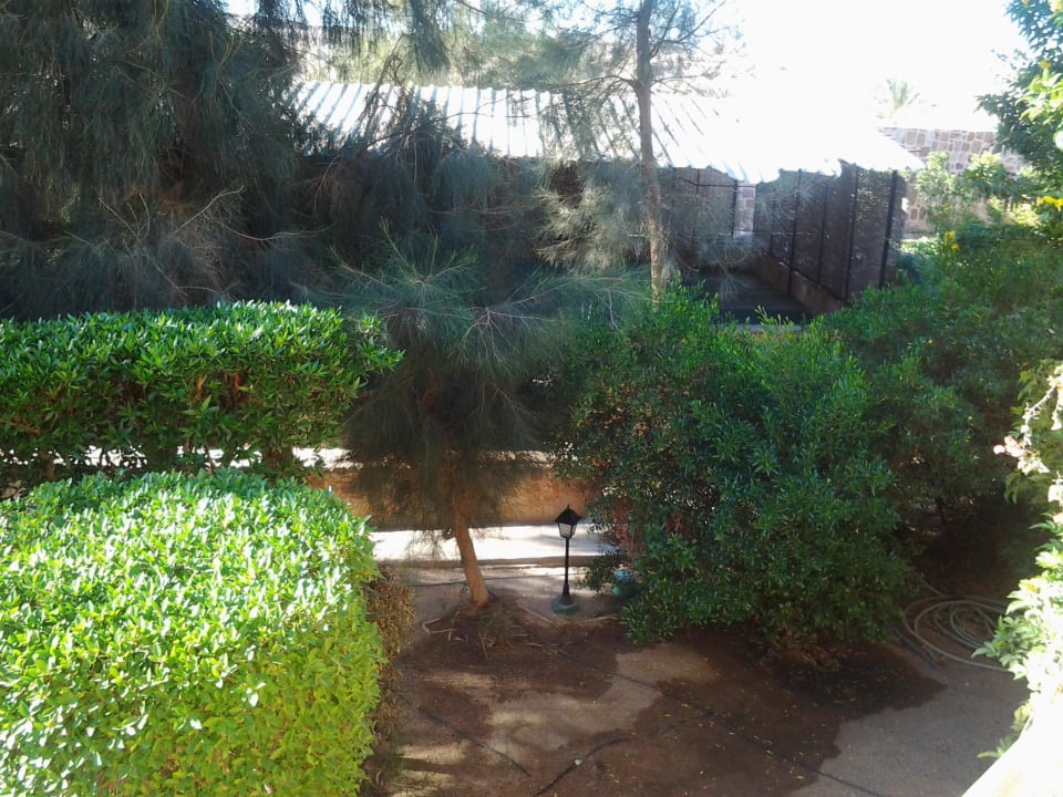 Der Ausblick vom Balkon der Beet Tempel 24 Stunden off Jaz Solaya