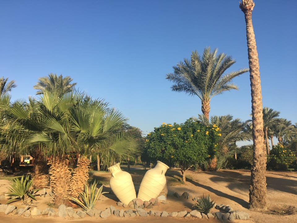 Gartenanlage Steigenberger ALDAU Beach Hotel