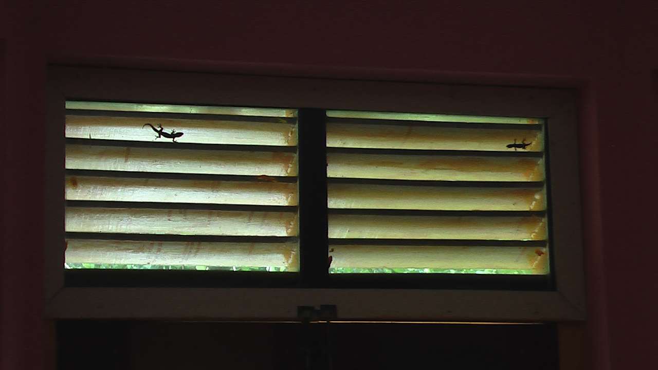 Zimmer Sunshine Guesthouse