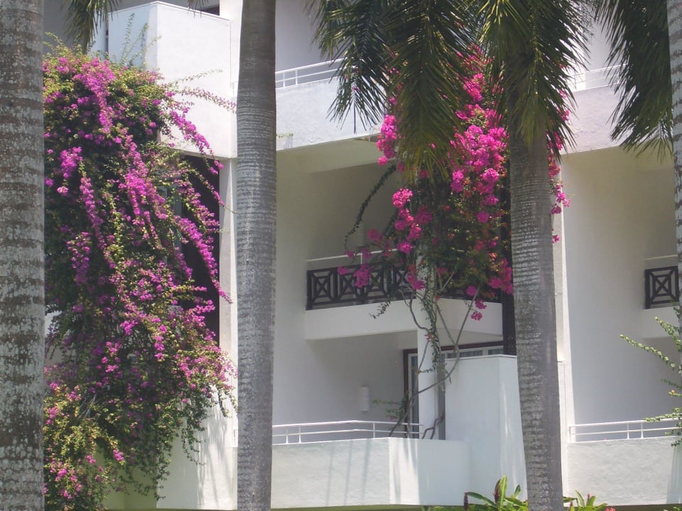 Superior Zimmer im 2.Stock Hotel Lanka Princess Ayurveda