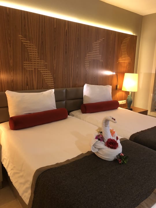 Zimmer PALOMA Perissia