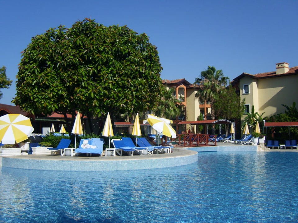 Hauptpool Miramare Queen Hotel