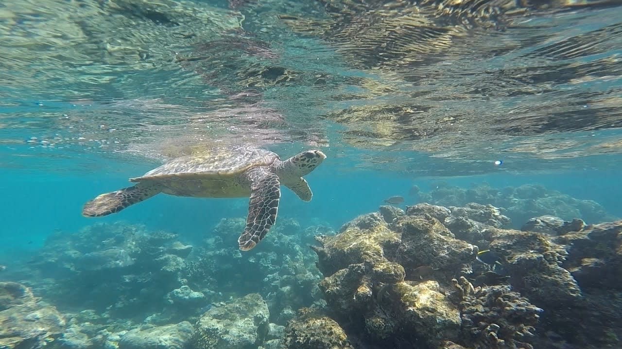 Sport & Freizeit Summer Island Maldives