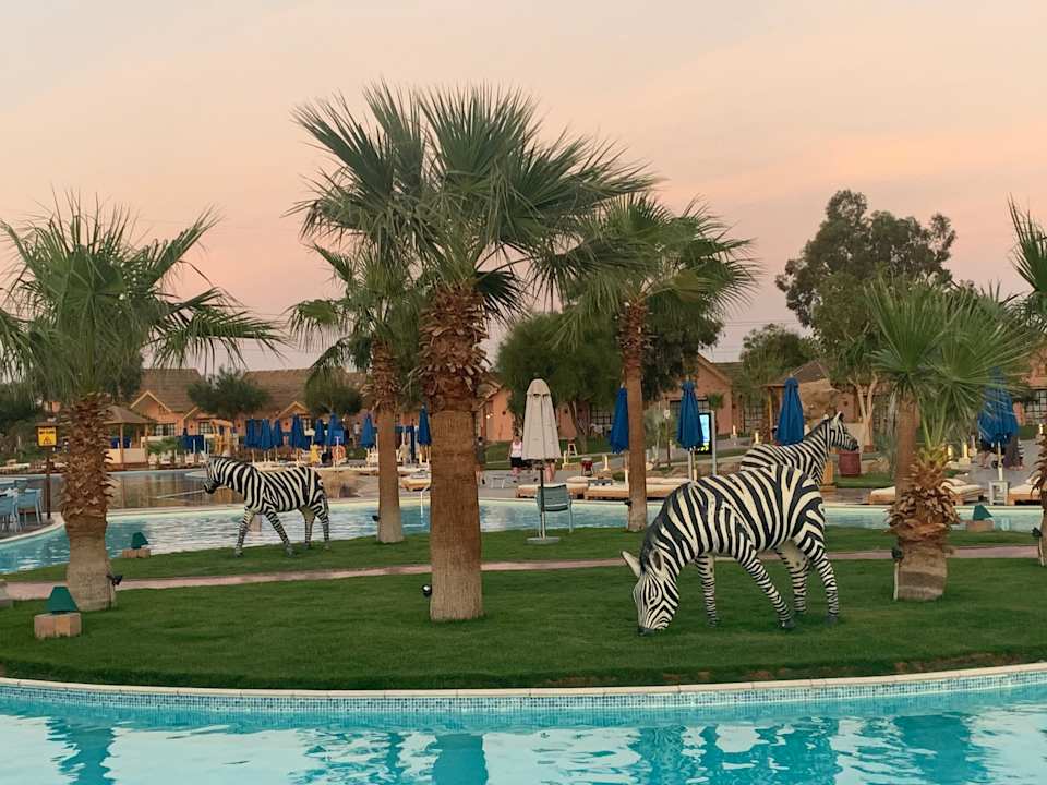 Pool Pickalbatros Jungle Aqua Park Resort - Neverland Hurghada