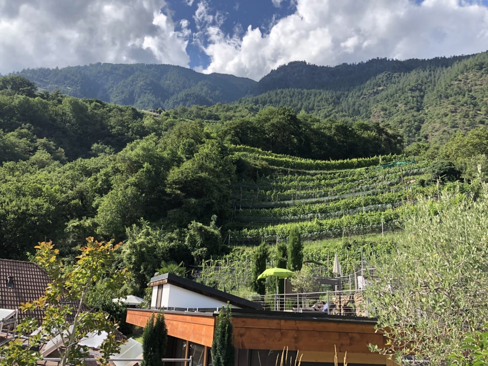 Gartenanlage Panoramahotel Himmelreich