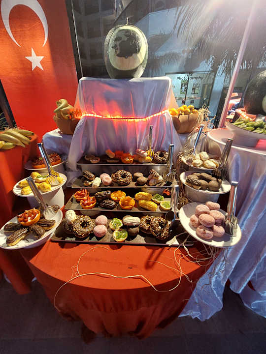 Gastro Seashell Vega