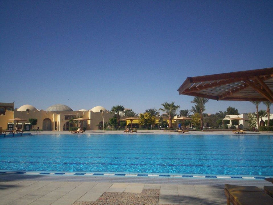 2 Pool Schwimmerbecken Desert Rose