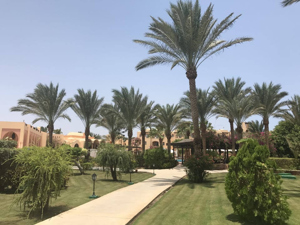 Sonstiges Steigenberger Coraya Beach - Adults only