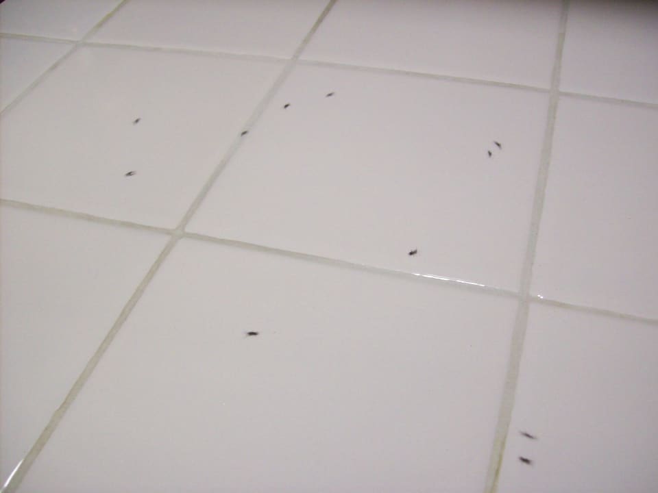 Zimmer Hotel Yosemite View Lodge