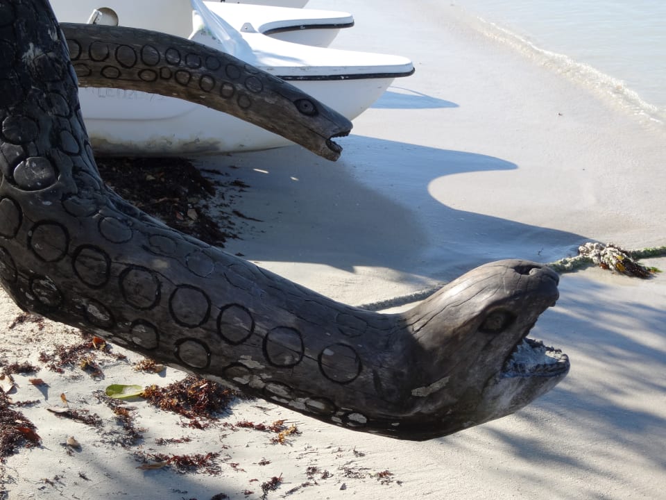 Strand Hotel Riu Negril