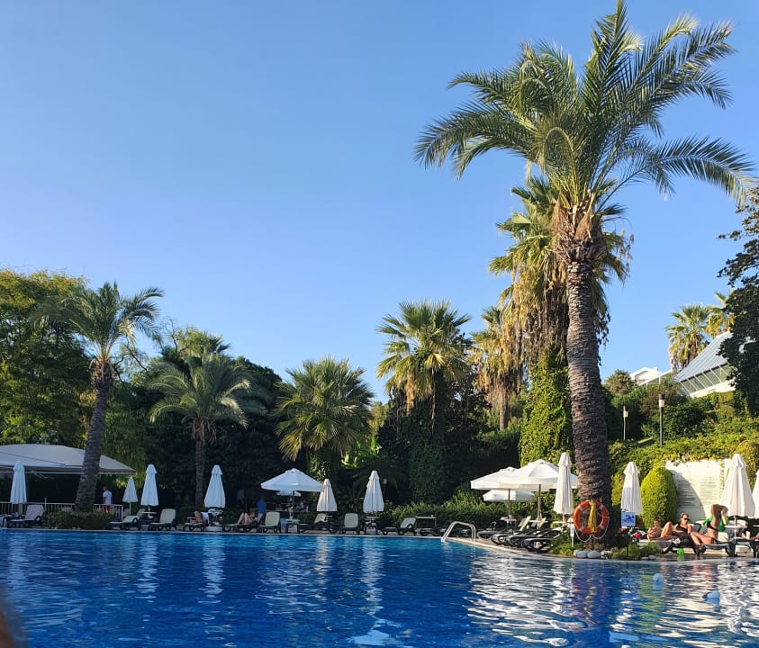 Pool Side Star Elegance