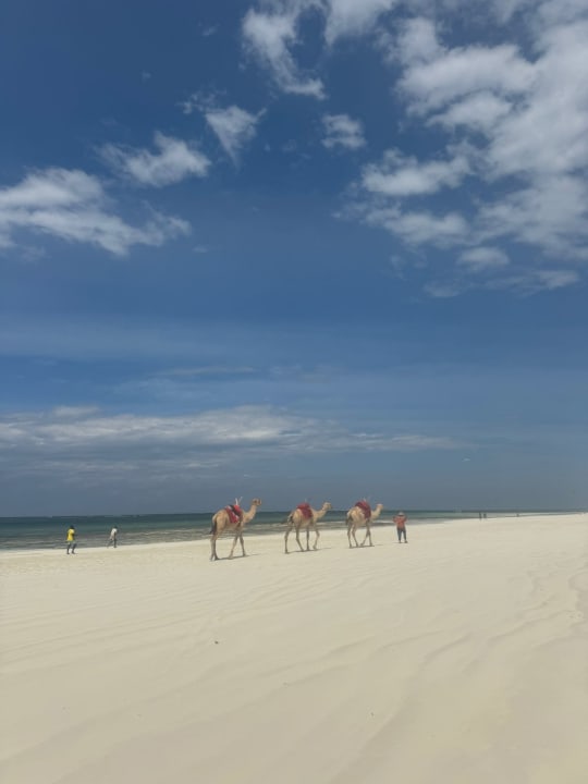 Strand Baobab Beach Resort & Spa