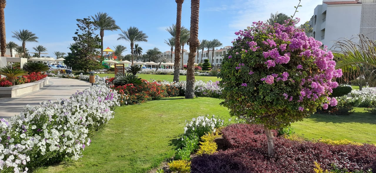 Außenansicht Pickalbatros Dana Beach Resort - Hurghada