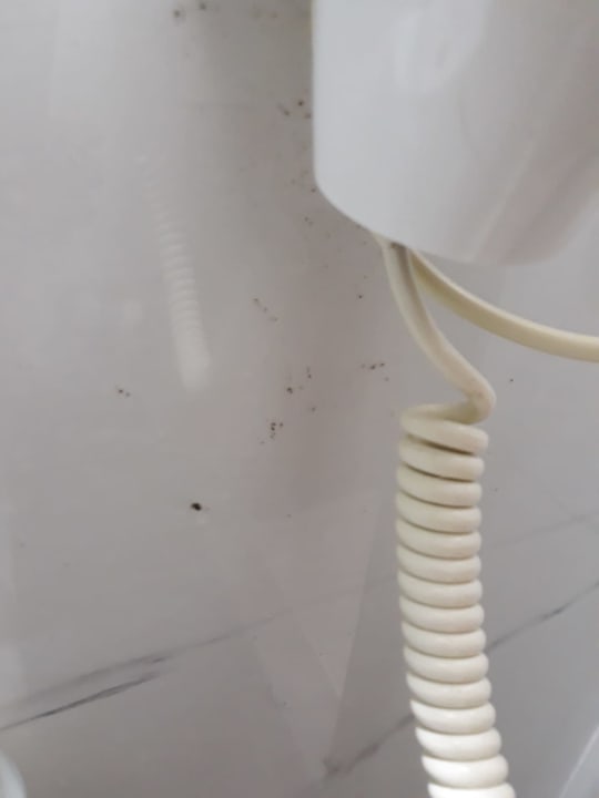 Zimmer Porto Plazza Hotel