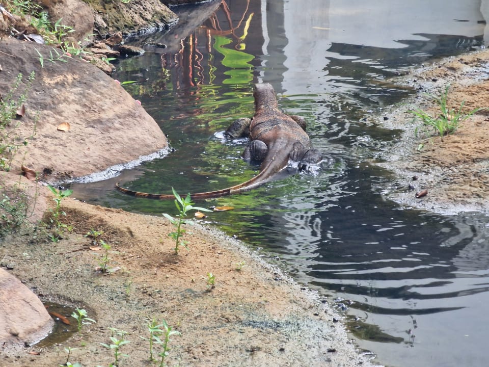 Sonstiges Khaolak Laguna Resort