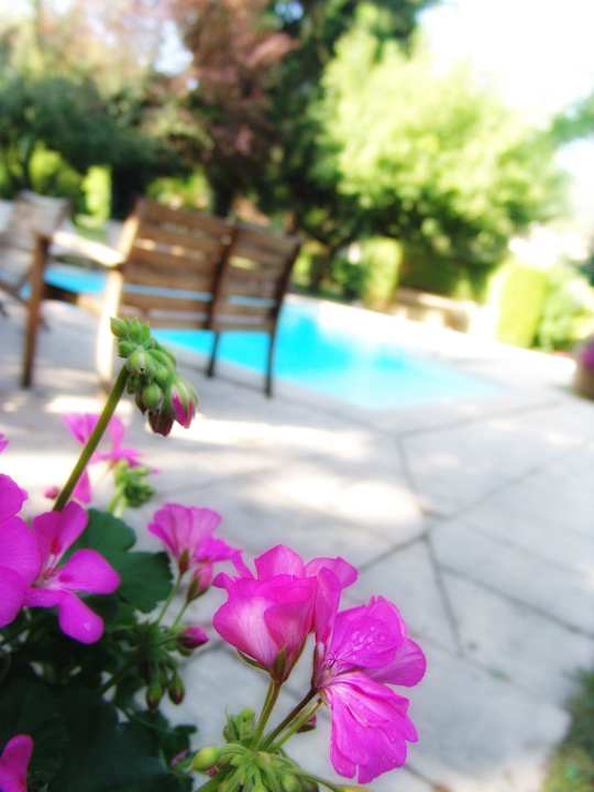 Piscine de l'hôtel Hotel Chavant