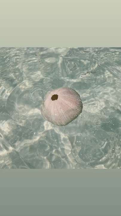 Strand Neptune Palm Beach Boutique Resort & Spa